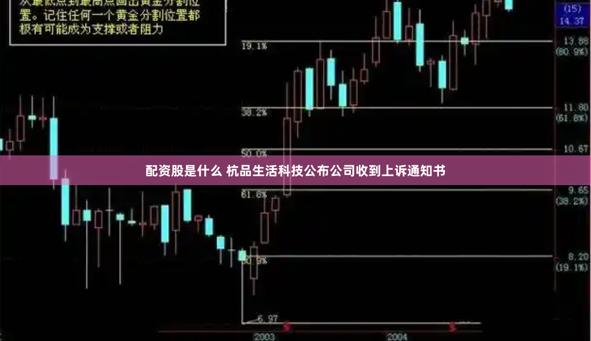 配资股是什么 杭品生活科技公布公司收到上诉通知书