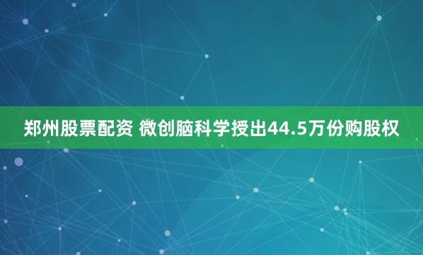 郑州股票配资 微创脑科学授出44.5万份购股权