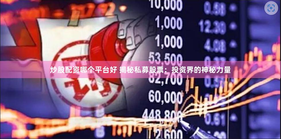 炒股配资哪个平台好 揭秘私募股票：投资界的神秘力量