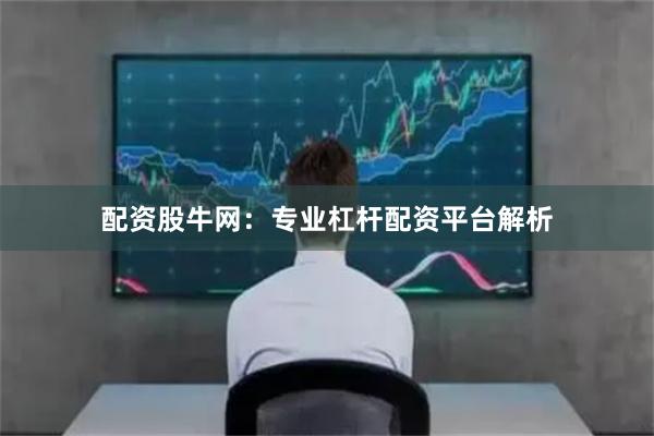 配资股牛网：专业杠杆配资平台解析