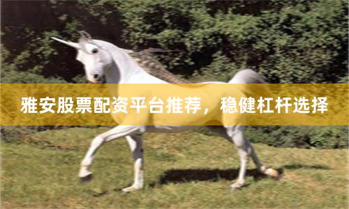 雅安股票配资平台推荐，稳健杠杆选择
